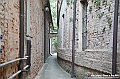 VBS_9933 - Premio Amico di Govone 2024 in memoria dell'Onorevole Giovanni Goria